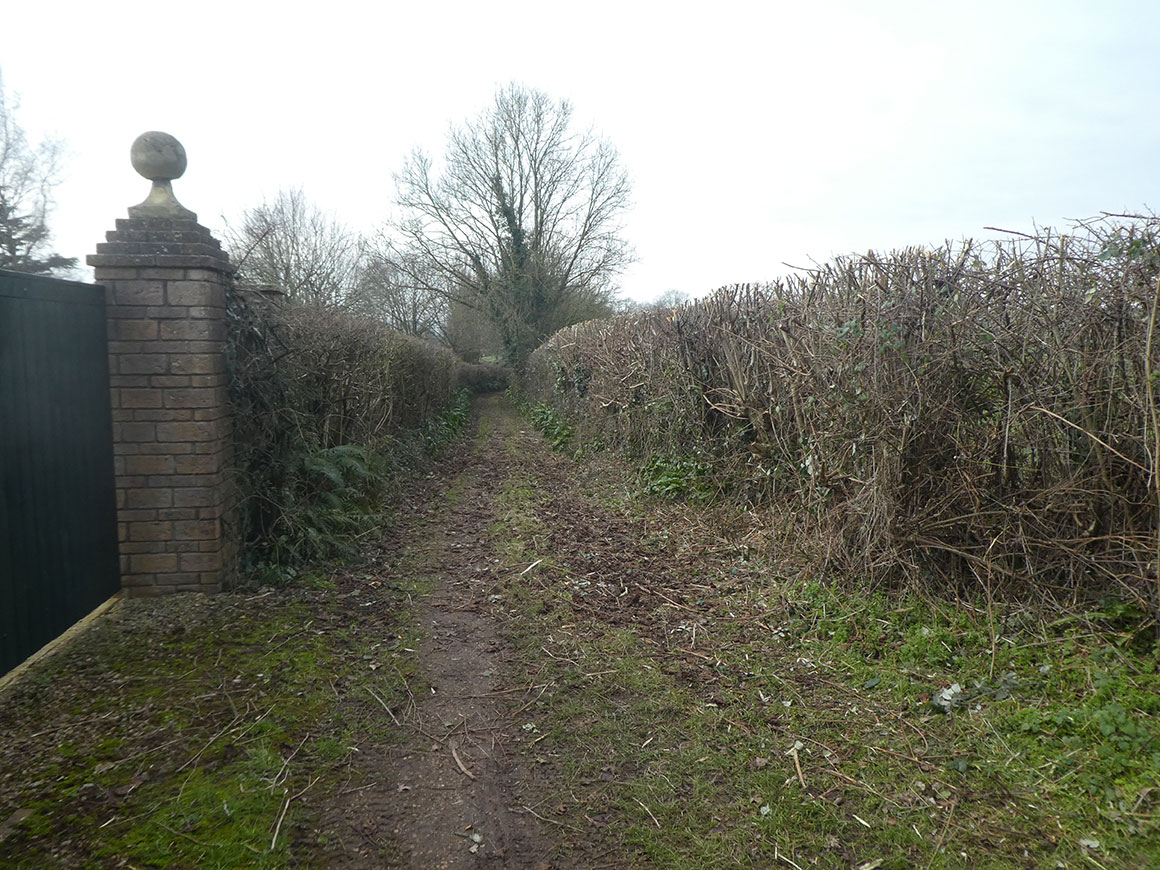 Chew Magna 1b