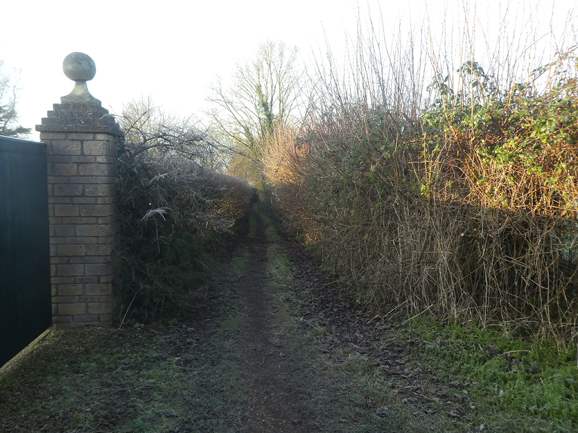 Chew Magna 2b